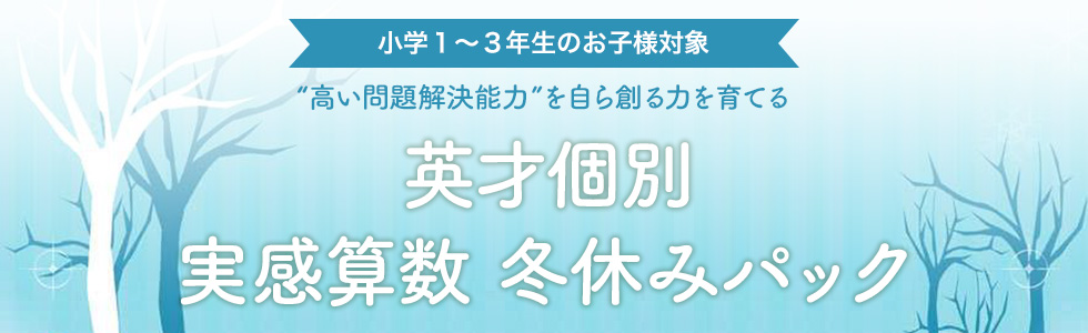 英才個別 実感算数 冬休みパック